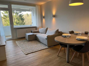 Hahnenklee‘r Berg-Glück II - modernes Apartment